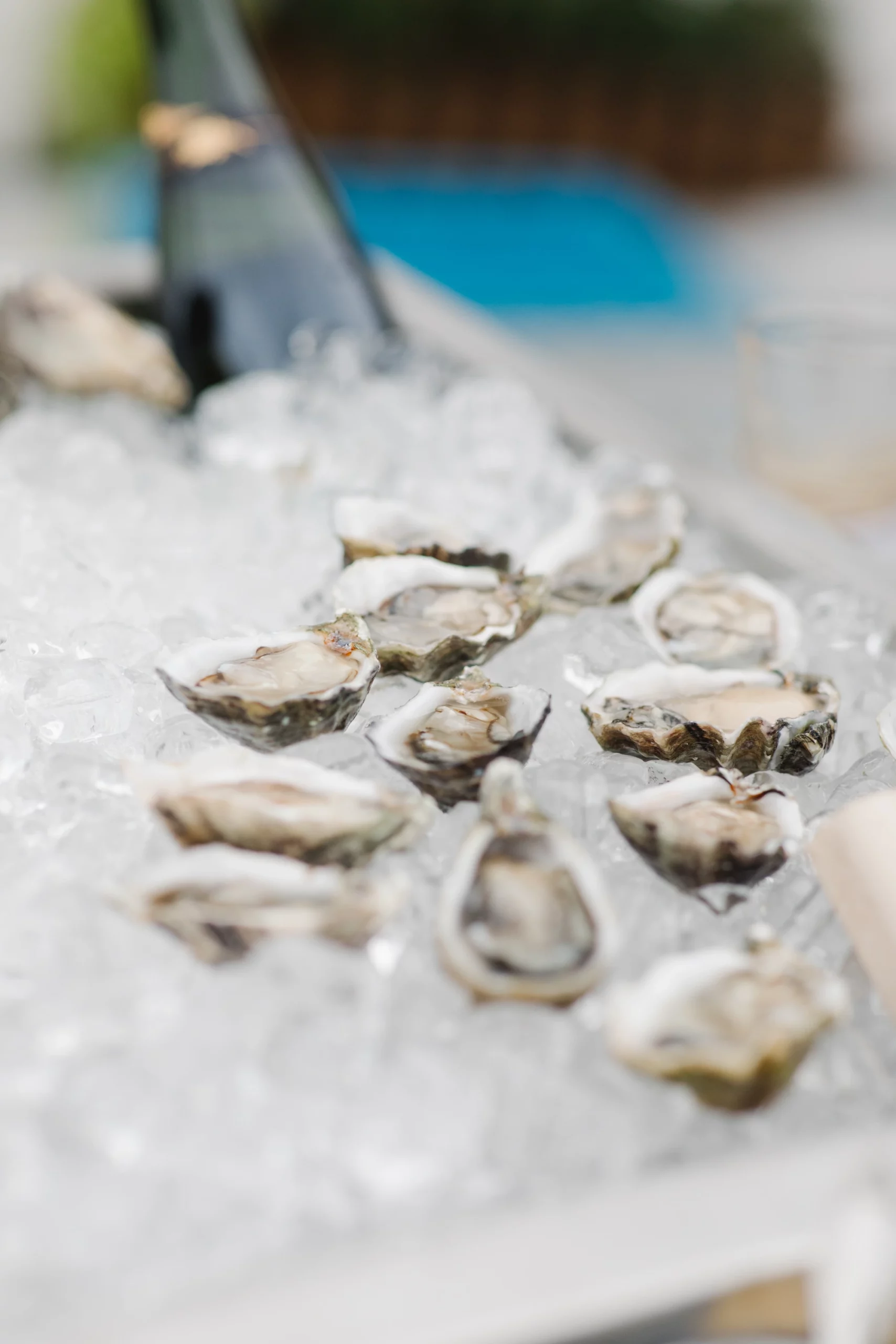 oyster station for wedding