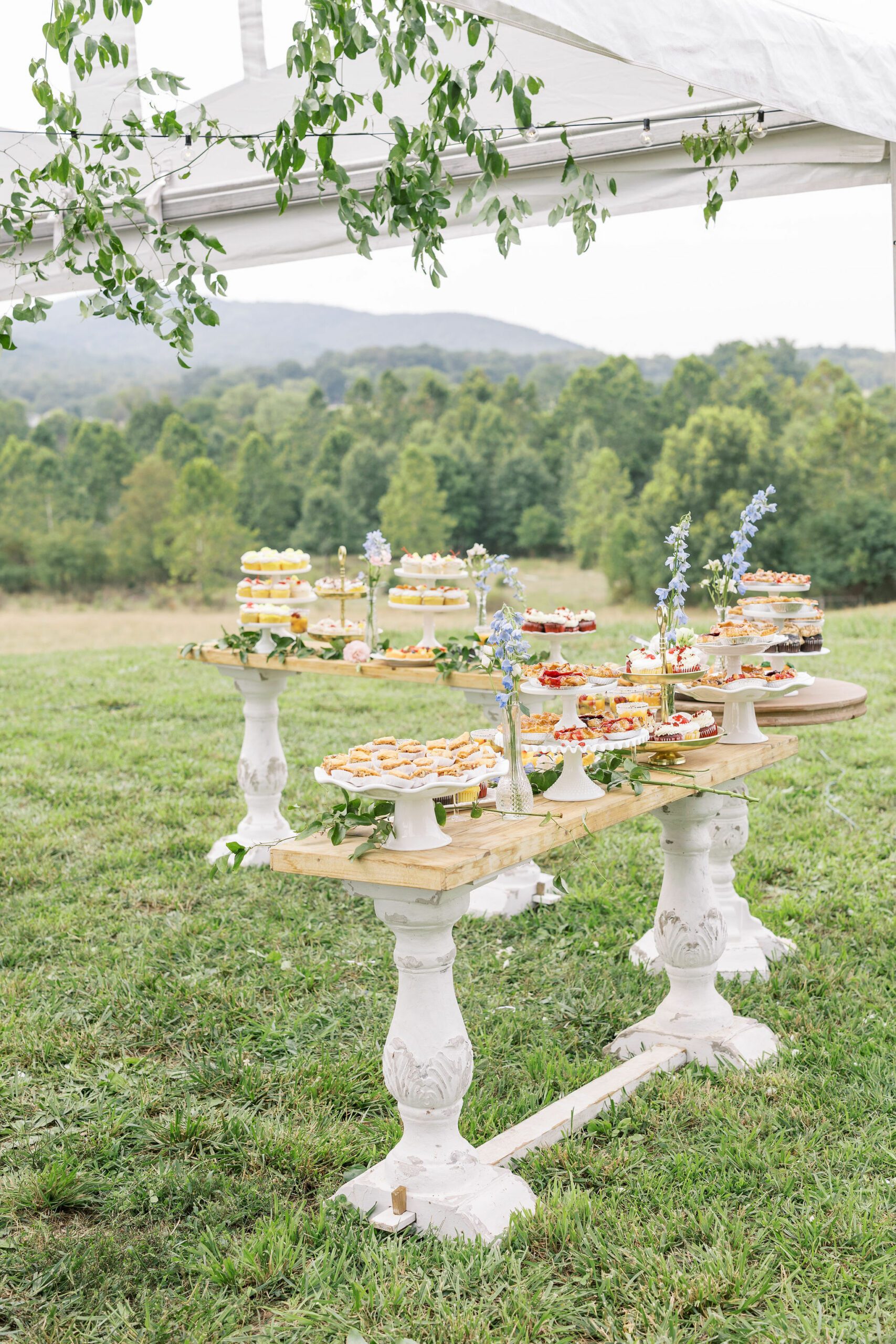 dessert station baby shower