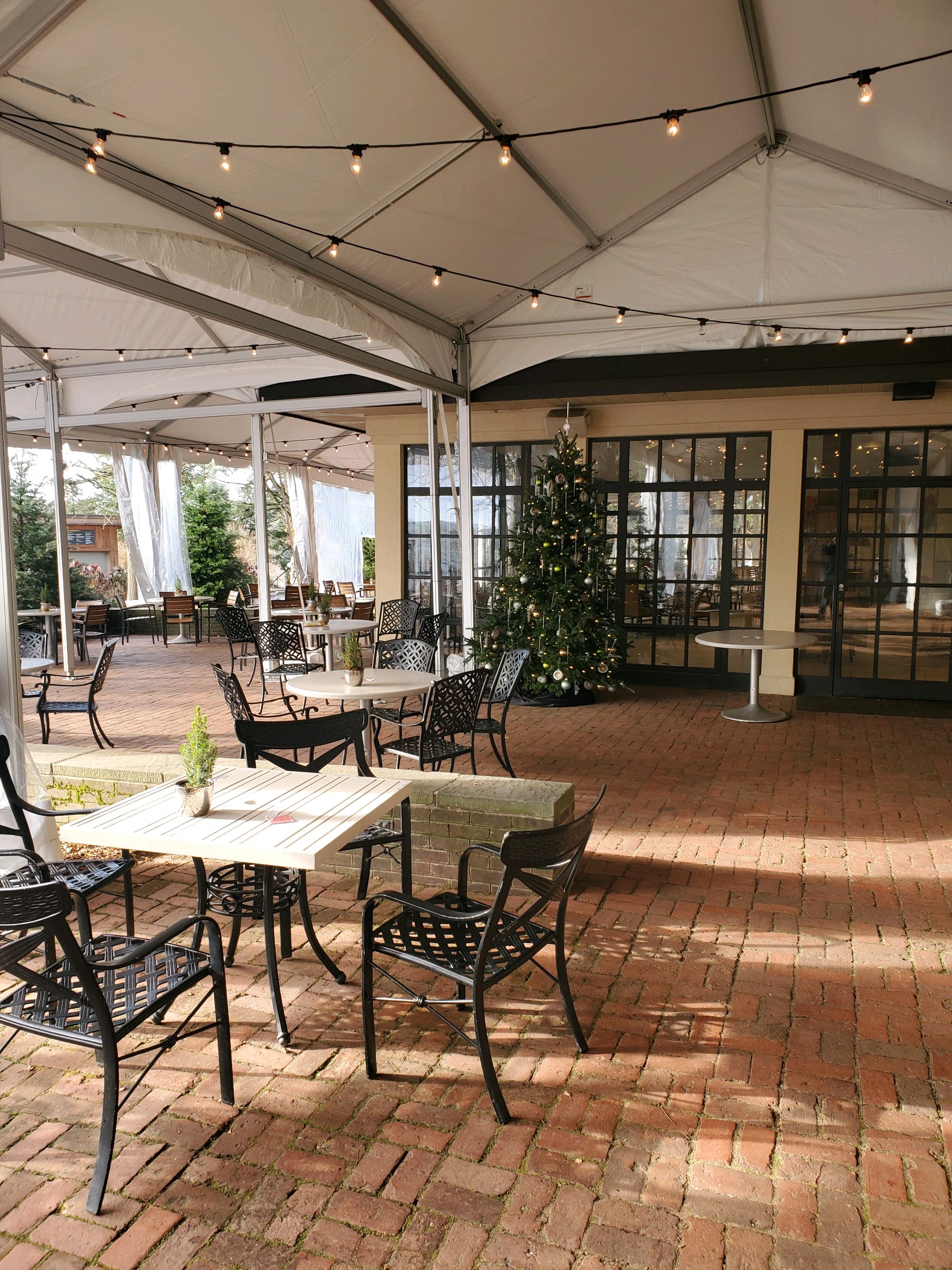 custom patio tent rental