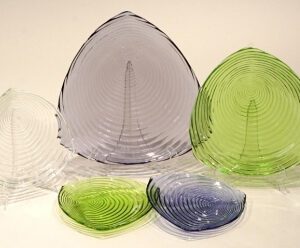 Glass Plate Collection