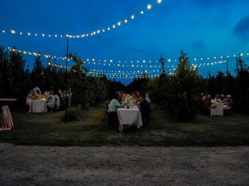 Farm to Table Dinner at Fifer Orchards