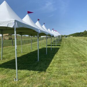 10' by 10' high peak festival tents