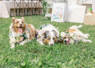dogs with flower collars at baby shower