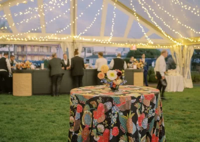 clear top tent with twinkle swag lighting