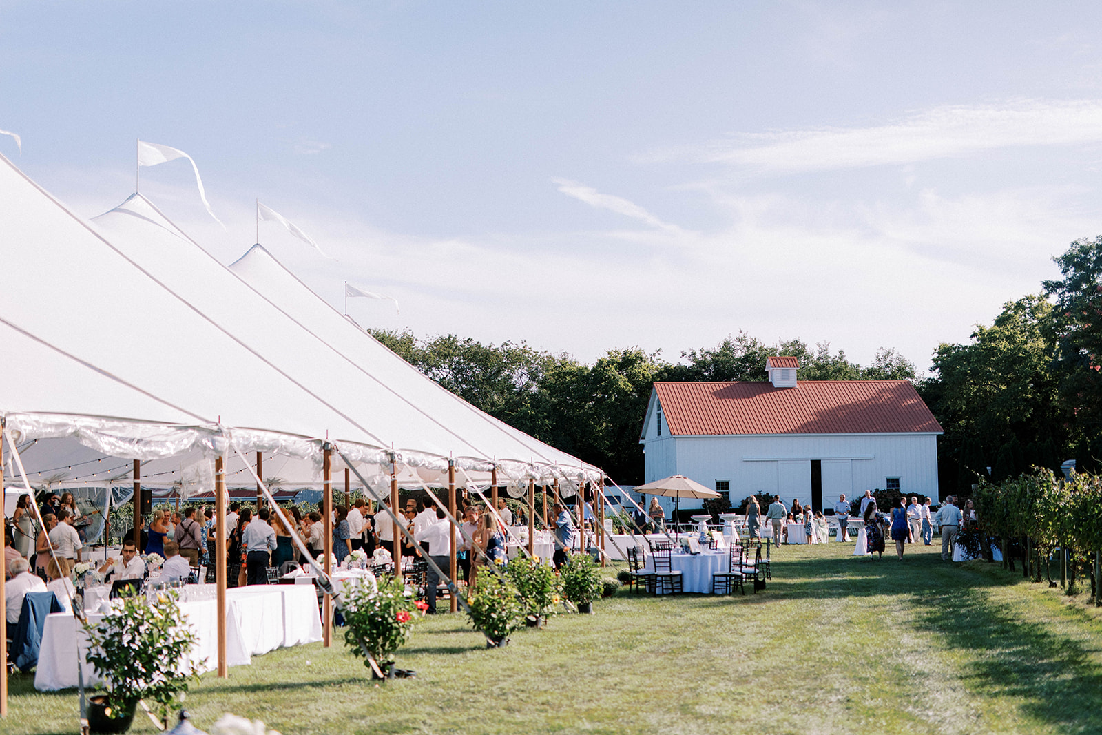 Airy Summer Wedding in Cape May at Issac Smith Vineyard