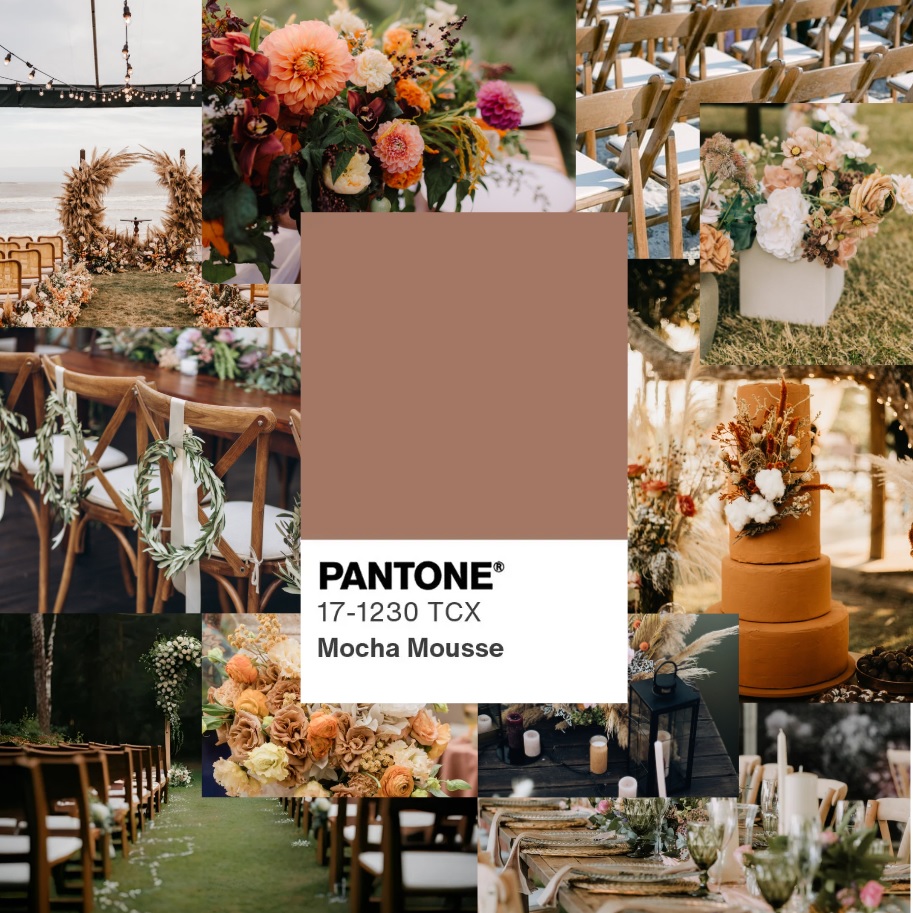 mocha mousse. pantone color of the year 2025