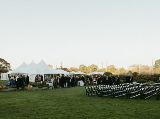 Timeless Vintage with a Modern Touch