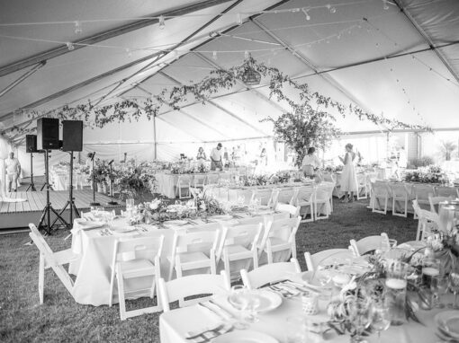 Freeman Arts Pavilion Summer Social Fundraiser 2025